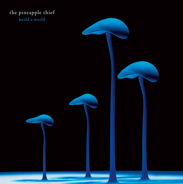 The Pineapple Thief - Build A World [CD]/VSN