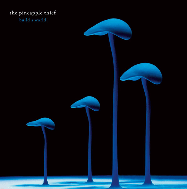 The Pineapple Thief - Build A World [CD]/VSN