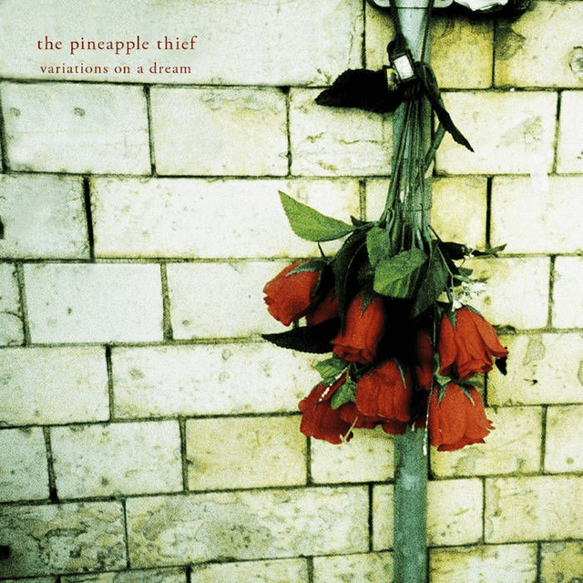 The Pineapple Thief - Variations On a Dream [CD]/VSN